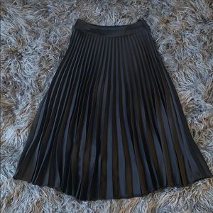 Pleated Skirt